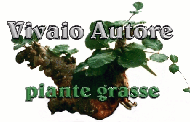 www.vivaioautore.com