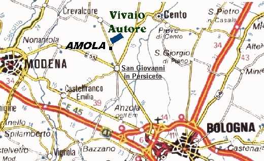 noi siamo qui